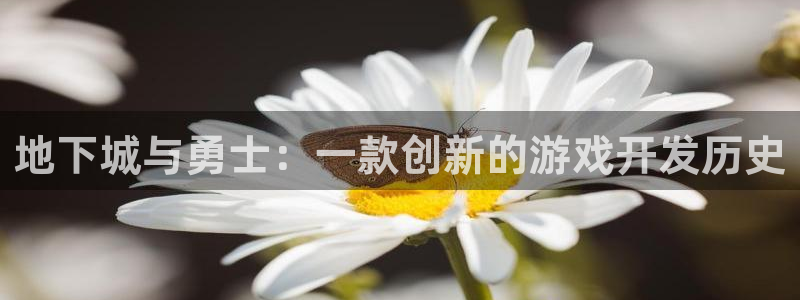 三牛娱乐官网登录入口下载：地下城与勇士：一款创新的游戏开发历