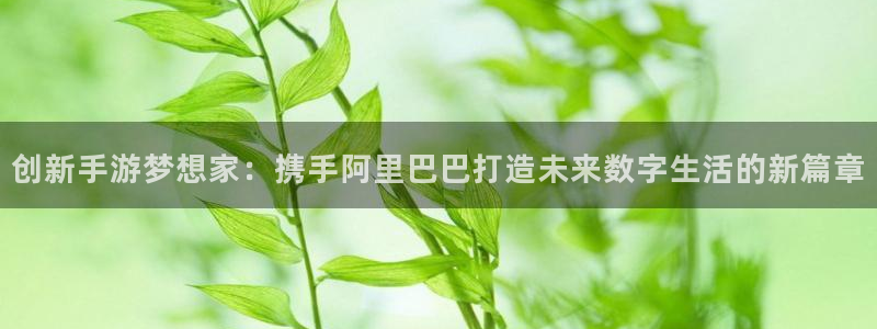 三牛娱乐负责人：创新手游梦想家：携手阿里巴巴打造未来数字生活