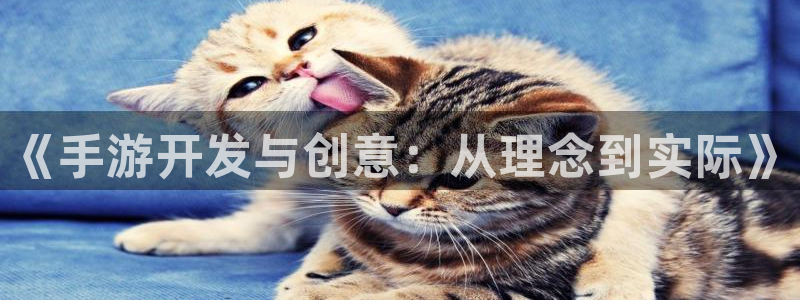三牛娱乐负责人是谁：《手游开发与创意：从理念到实际》