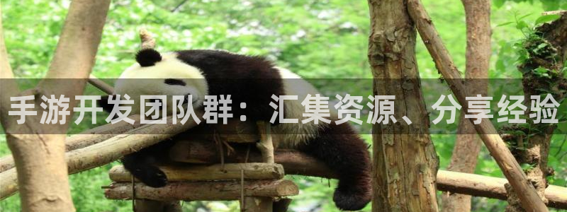 三牛公司：手游开发团队群：汇集资源、分享经验