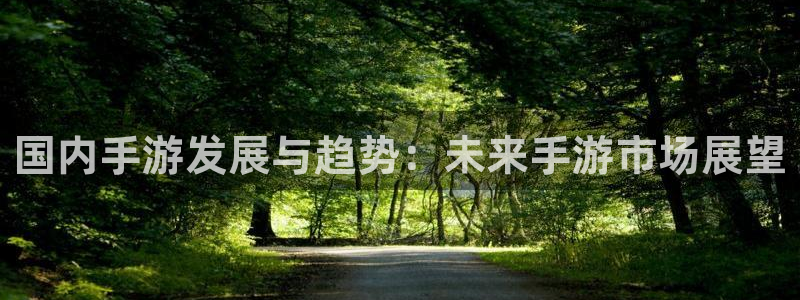 三牛娱乐哪里去了：国内手游发展与趋势：未来手游市场展望