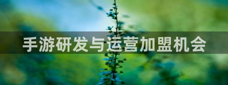 三牛平台娱乐：手游研发与运营加盟机会