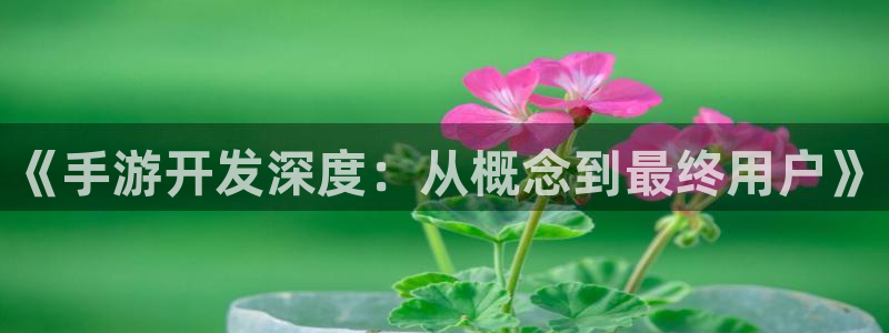 三牛娱乐负责人：《手游开发深度：从概念到最终用户》