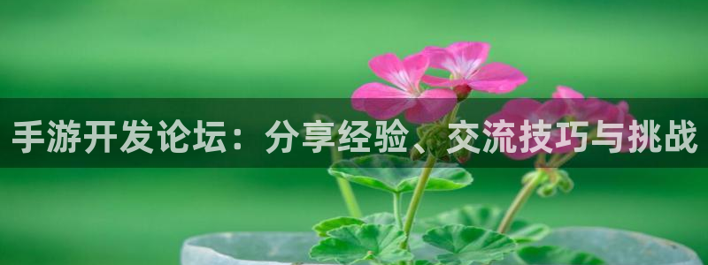 三牛娱乐官网登录入口下载手机版：手游开发论坛：分享经验、交流