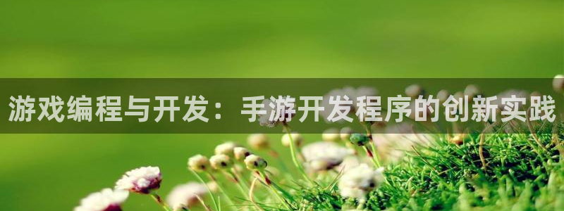 三牛娱乐负责人：游戏编程与开发：手游开发程序的创新实践